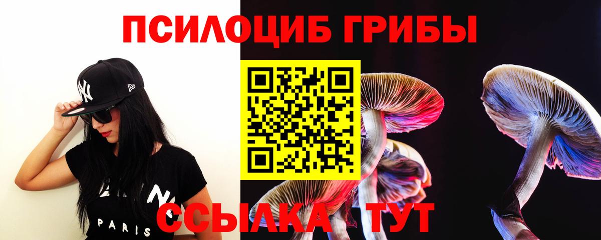 Биробиджан  Псилоцибиновые грибы Psilocybe  купить наркоту  Вход с VPN 